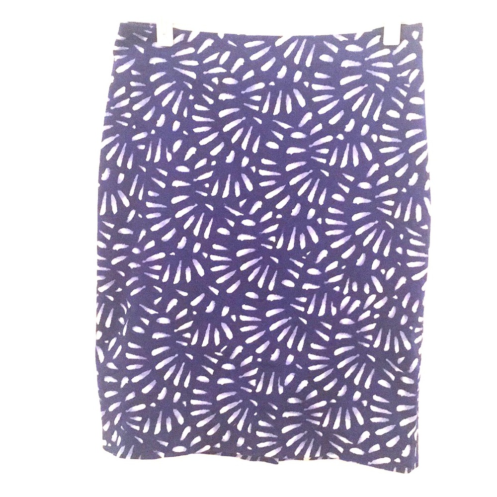 Blue and White Skirt